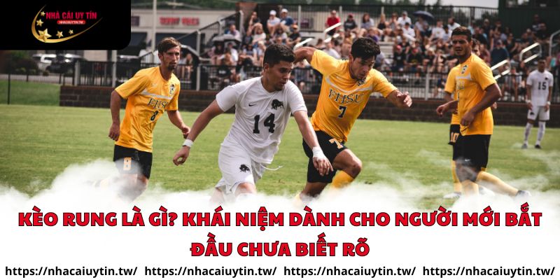 Kèo rung là gì? Khái niệm dành cho người mới bắt đầu chưa biết rõ