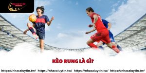 Tìm hiểu kèo rung là gì tại nhà cái uy tín